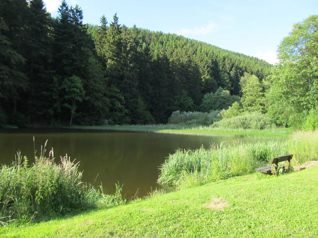 Apartament Hexenstieg House Lerbach Osterode am Harz Zewnętrze zdjęcie