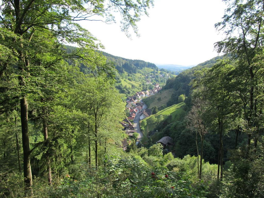 Apartament Hexenstieg House Lerbach Osterode am Harz Zewnętrze zdjęcie